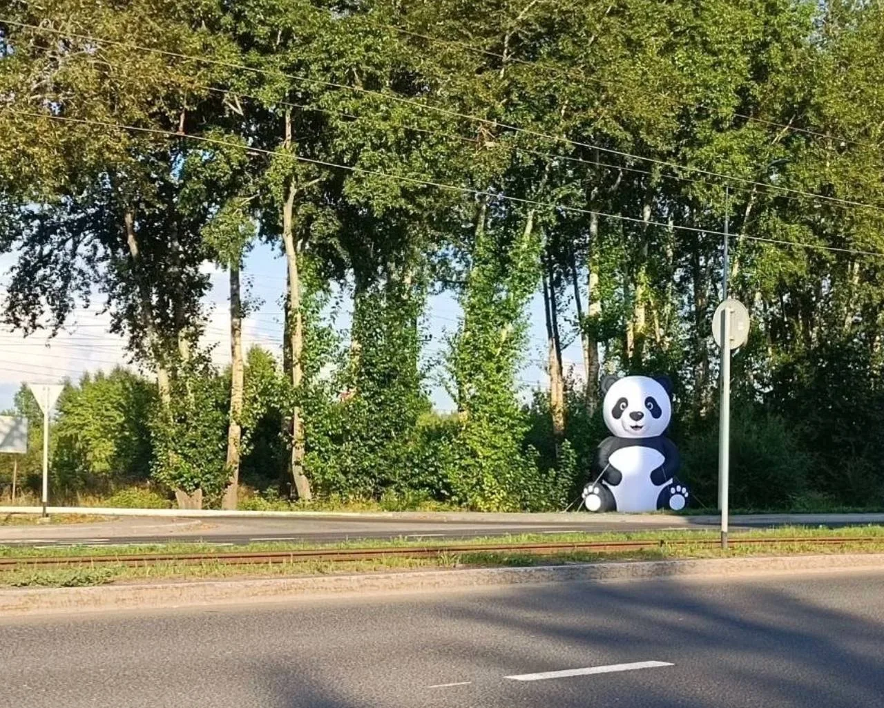 На улице Терешковой появилась панда.