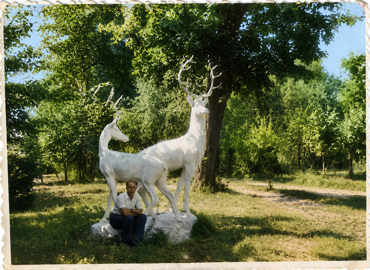 🦌 Олени в городском парке Карачева. 1960–1970-е годы.
Перед вами — цветная реконструкция архивной ф