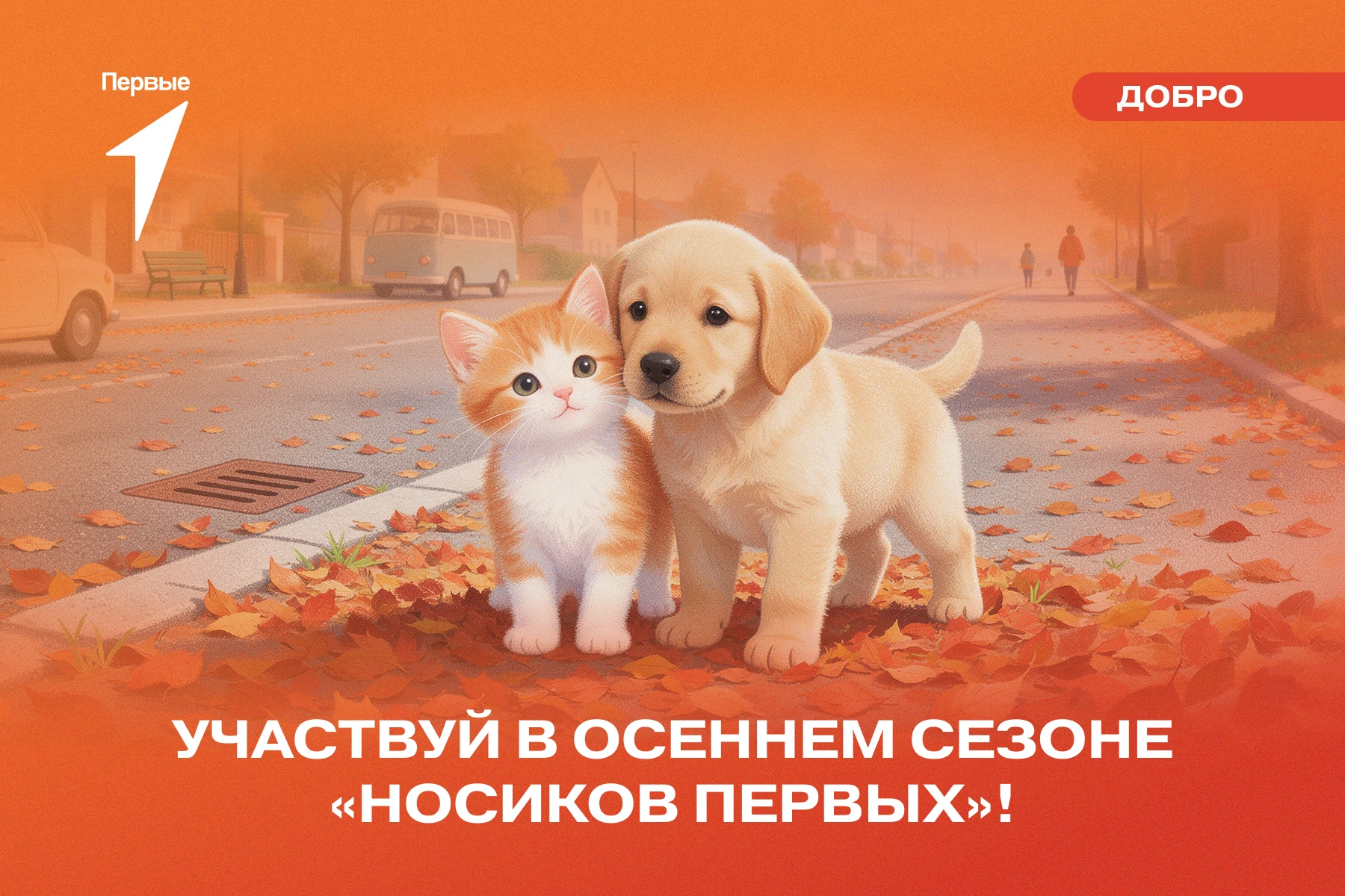 🐱 Сделай доброе дело, чтобы чей-то хвостик завилял от радости!