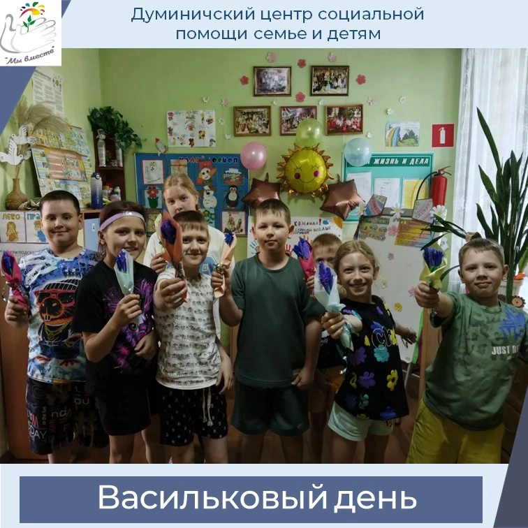 🪻Как много полевых цветов,