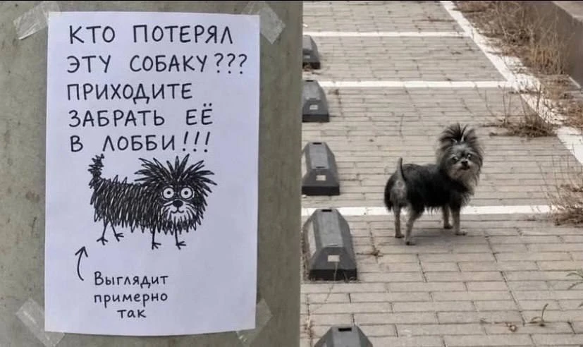 Доброе четверговое утро.