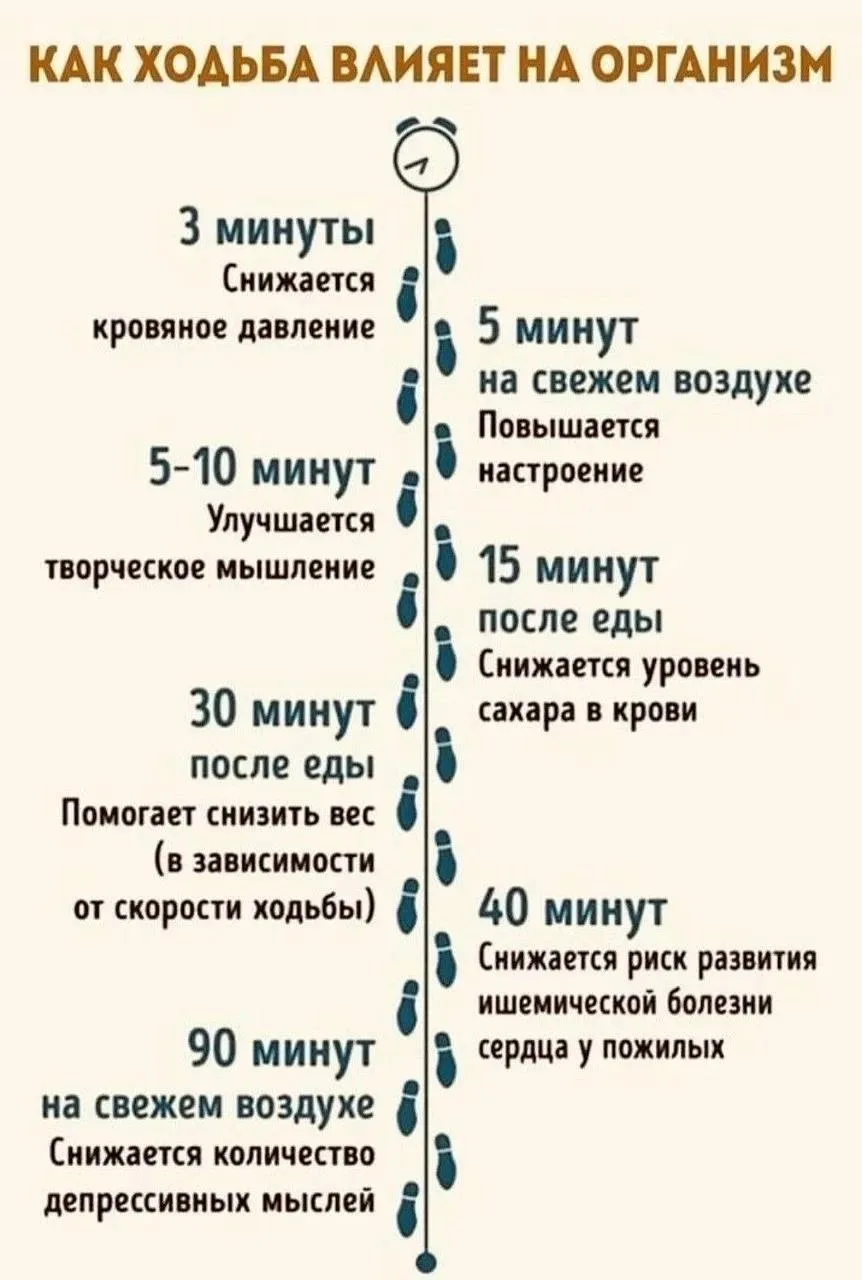 🚶 Ходьба — простая привычка с большой пользой