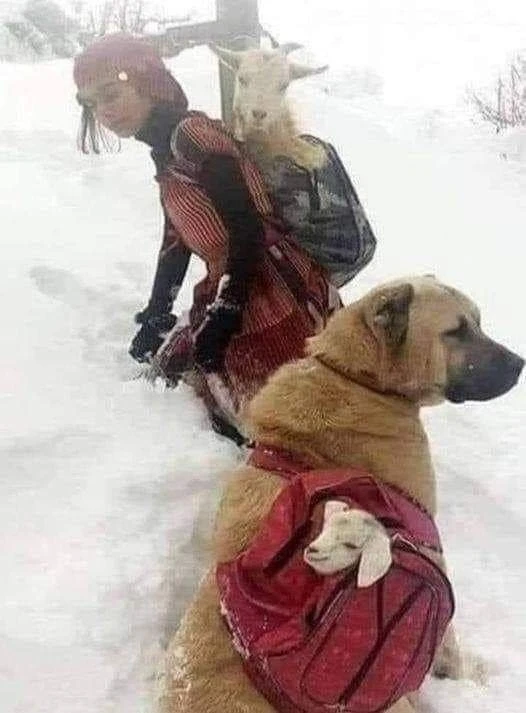 Удивительно!
