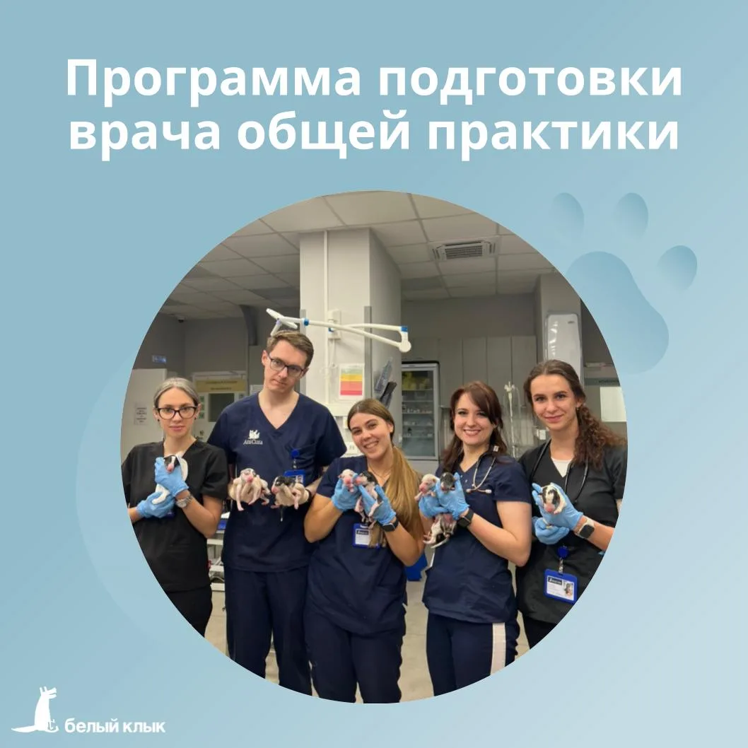 Оплачиваемая интернатура — миф или реальность?

Очень даже реальность, если речь идёт о программе ин