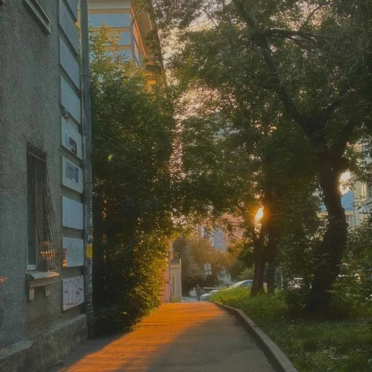 Спасибо, Господи, за то что мы живём, имеем дом и на столе кусочек хлеба. Что согреваеш...