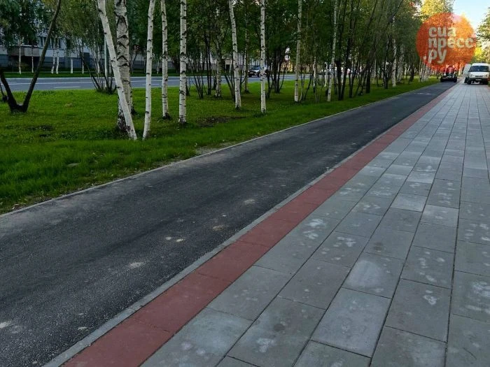 Власти Сургута хотят объединить все велодорожки в единый маршрут