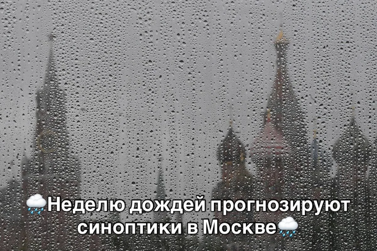 🌧️Неделю дождей прогнозируют синоптики в Москве🌧️