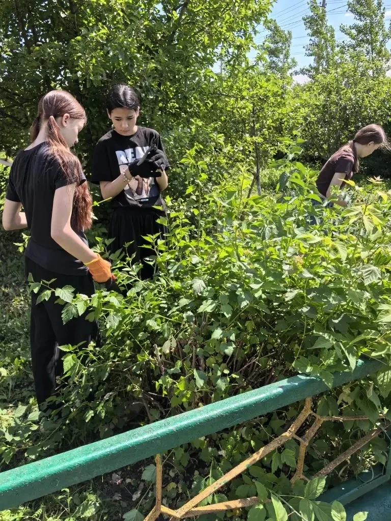 📣 Новости ЛТО «Ровесники»

❤️В понедельник участники лагеря труда и отдыха «Ровесники» начали день 