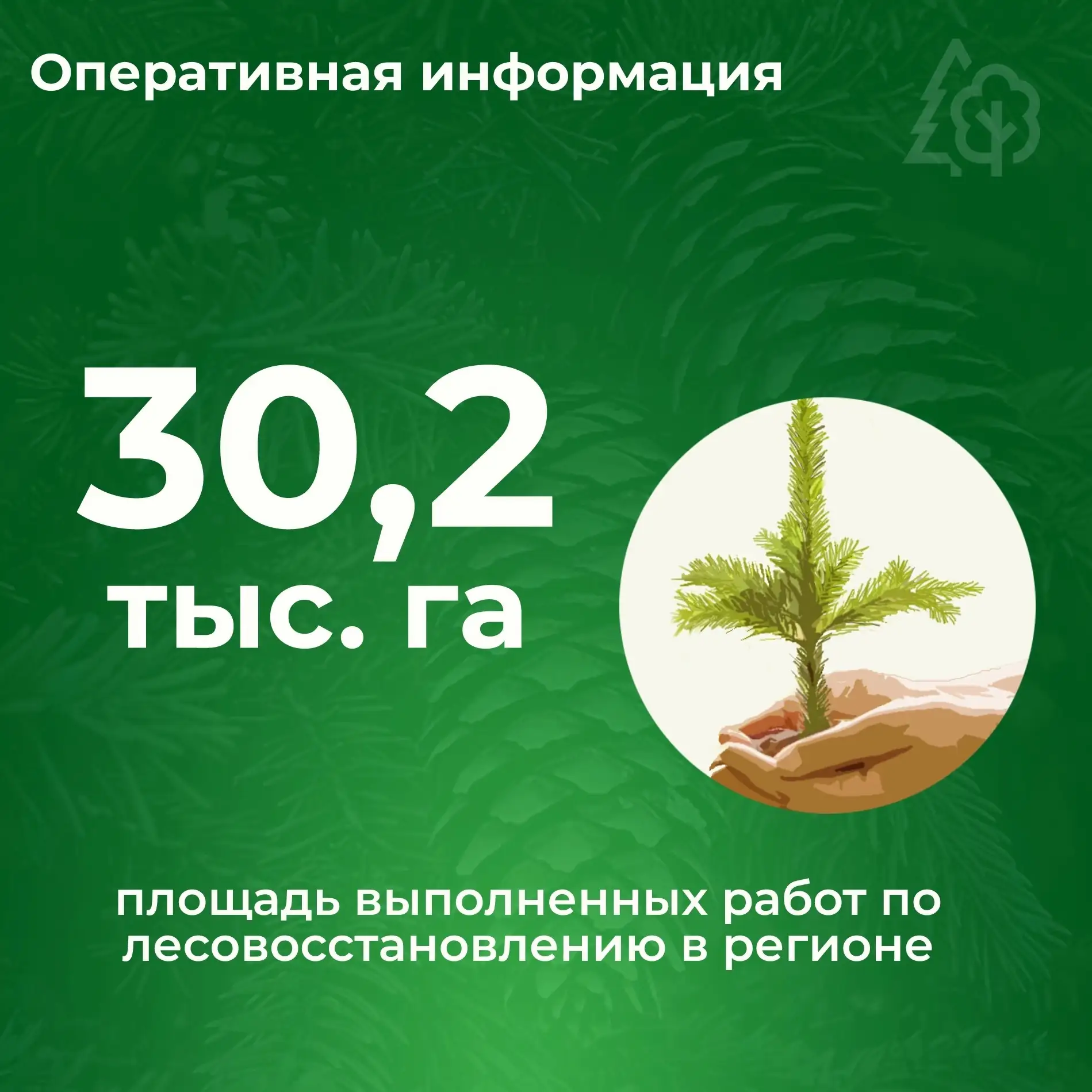 Лесовосстановление в цифрах 🌱

Продолжаем рубрику, в которой рассказываем о ходе лесокультурного се