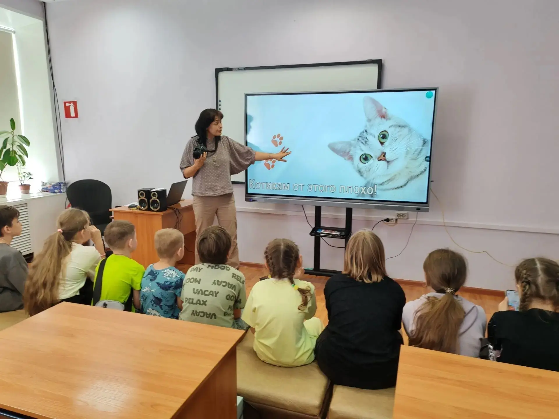 КОТИКИ ДАВНО ЗАХВАТИЛИ МИР