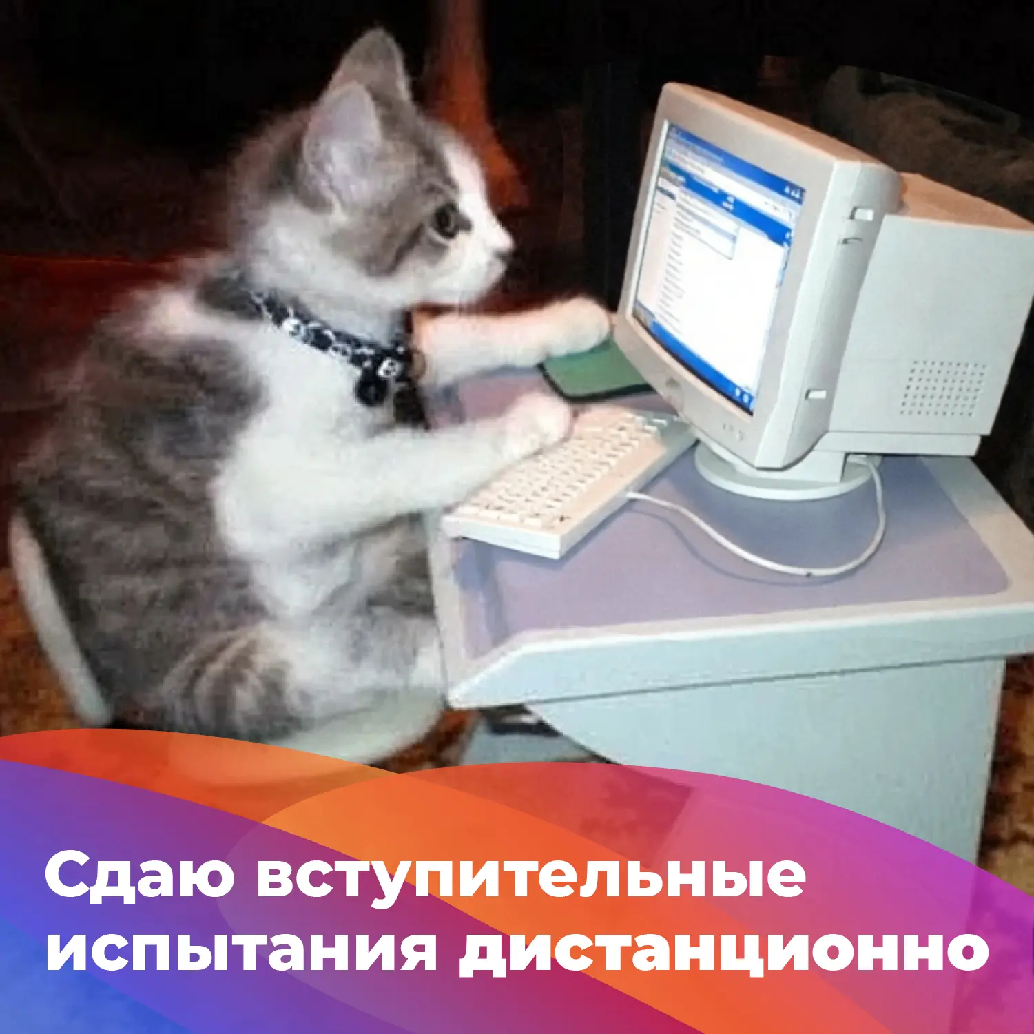 Если ты поступаешь в СФУ по внутренним вступительным испытаниям и выбрал дистанционный ...