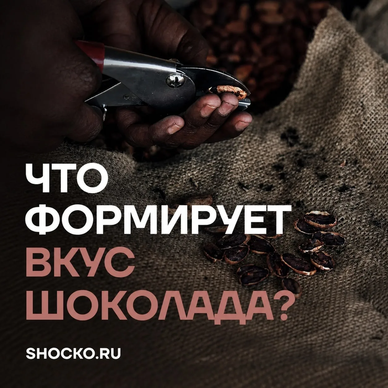 Вкус шоколада — это не случайность, а управляемый результат. У бренда Callebaut он формируется через