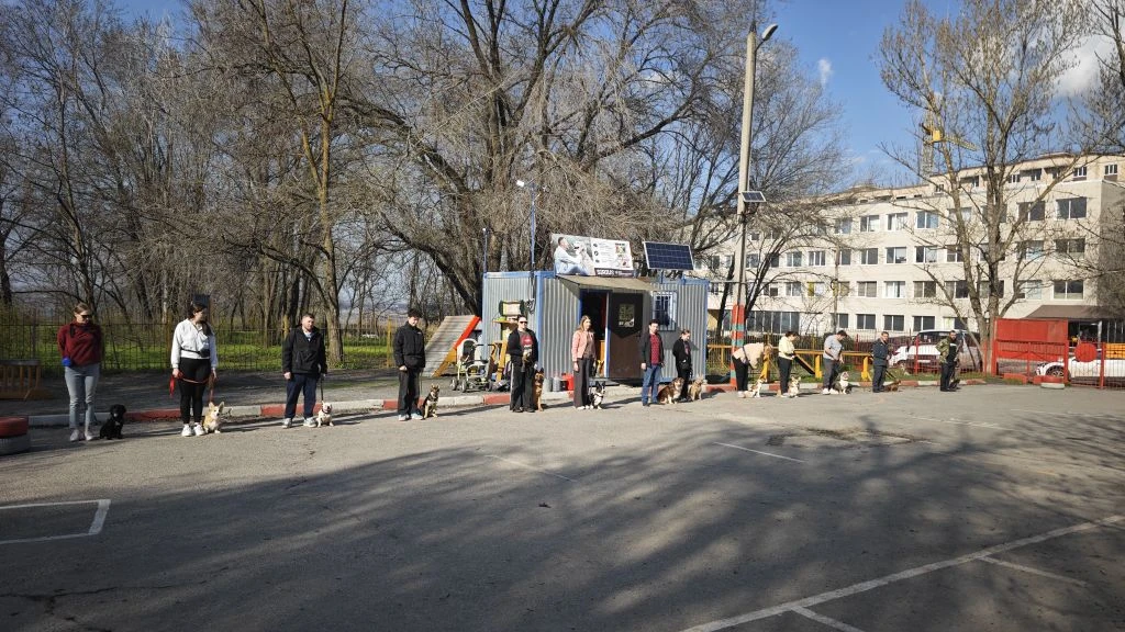 Весенняя группа УГС