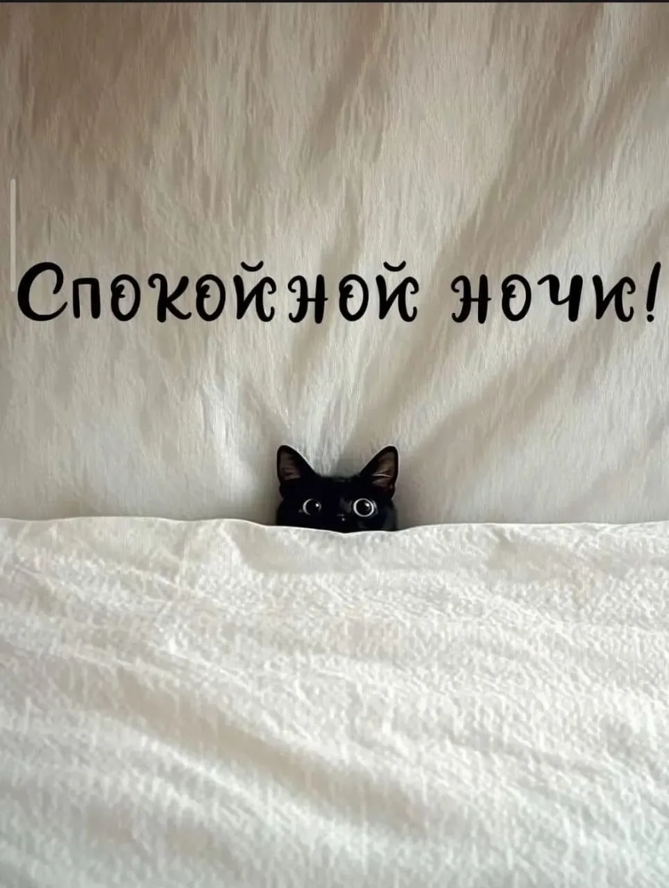 #спокойнойночи