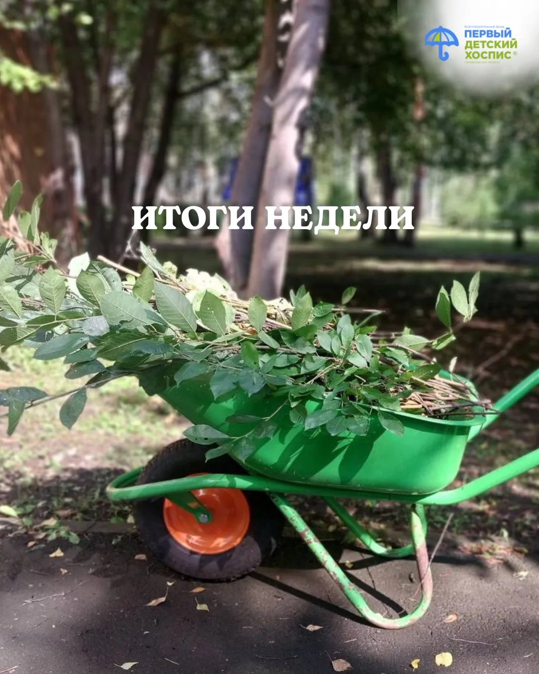 Добрый день, друзья! 🧡