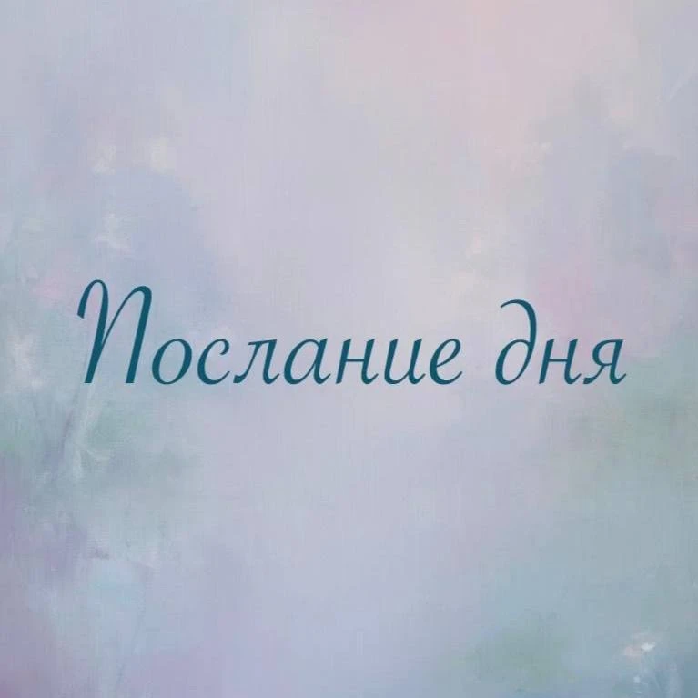✨