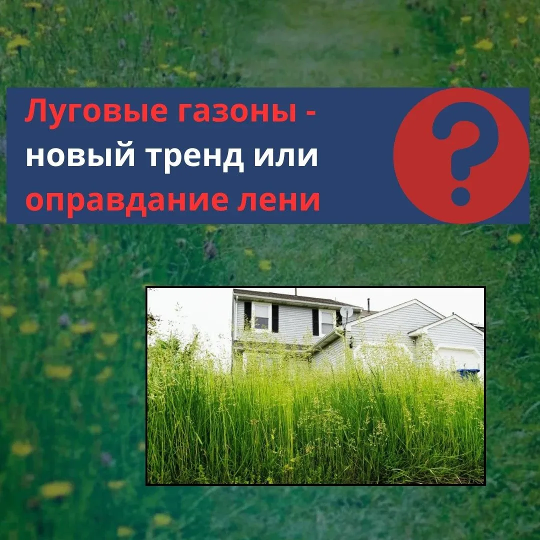 Коллеги, хотелось бы обсудить тренд, который набирает обороты в загородном девелопменте.
