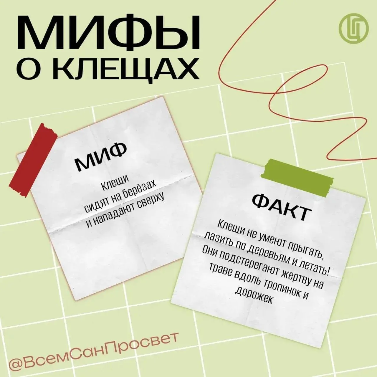 Мифы о клещах 🪲