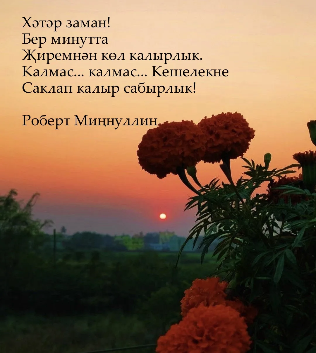 #татар_акылы