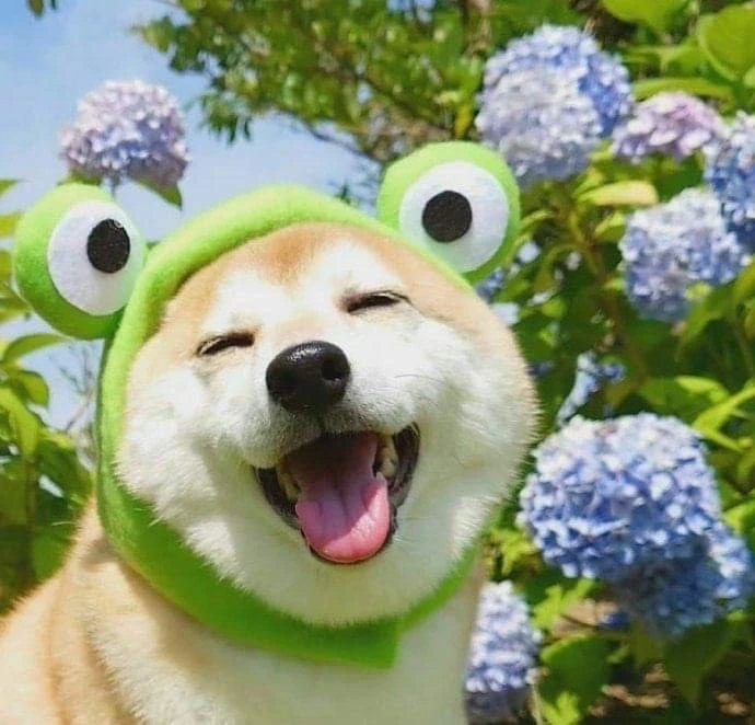 ☺️ Доброе утро!