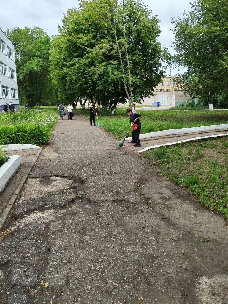 Учащиеся 5а,  5в классов проходят летнюю трудовую практику на пришкольном участке.
Образовательные о