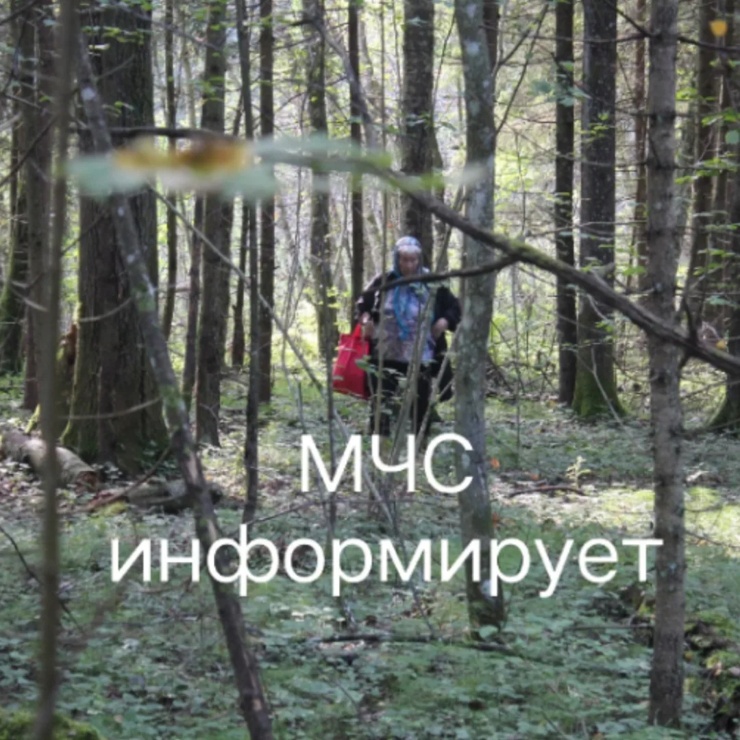 ⚠️В Пестовском округе успешно закончились поиски пожилого мужчины. Накануне он отправил...
