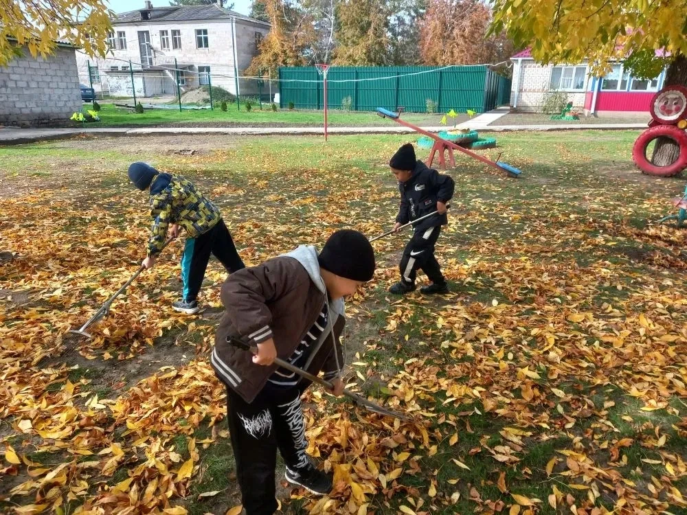 🌿 Наш детский сад активно принимает участие в краевой экологической акции "ЖИВИ ЛЕС" �...