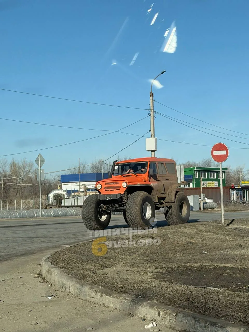 Какой красавец замечен на дорогах Балаково.