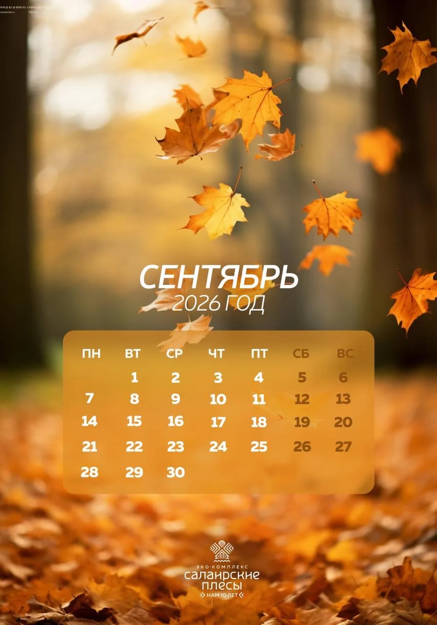 Встречаем новый сезон: к первому сентября мы выпустили серию свежих осенних обоев для с...