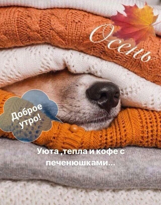 Уютной осени, тепла и кофе с печенюшками!