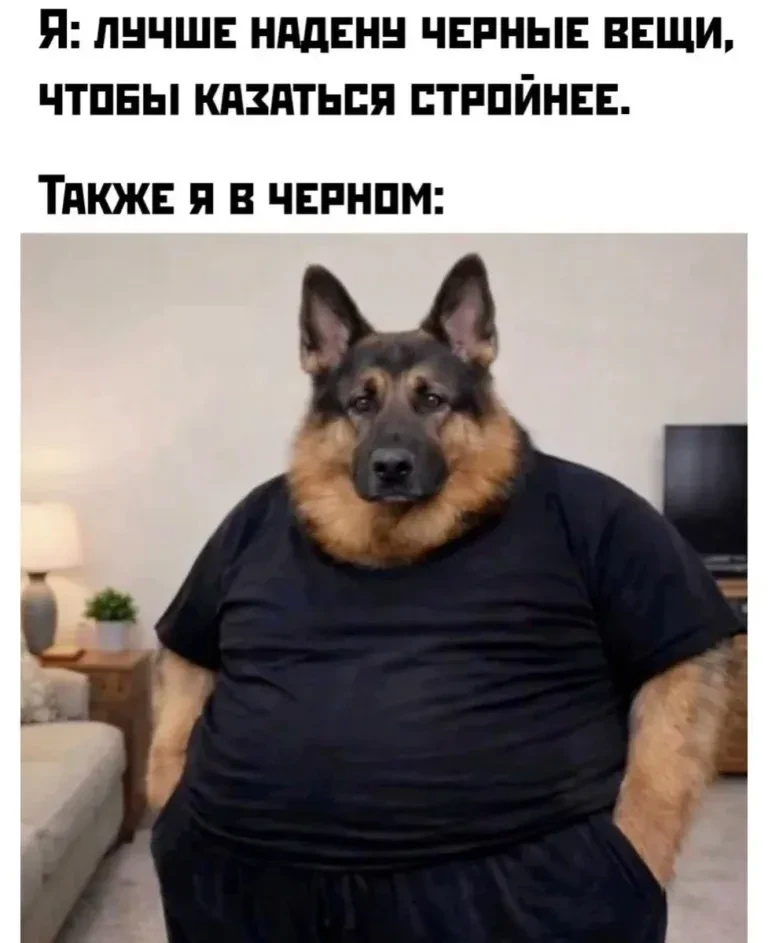Помните анекдот? 😆