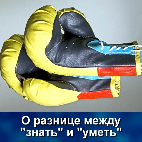 Мы все хорошо знаем, что личность человека, его характер, привычки, поведение, в том чи...