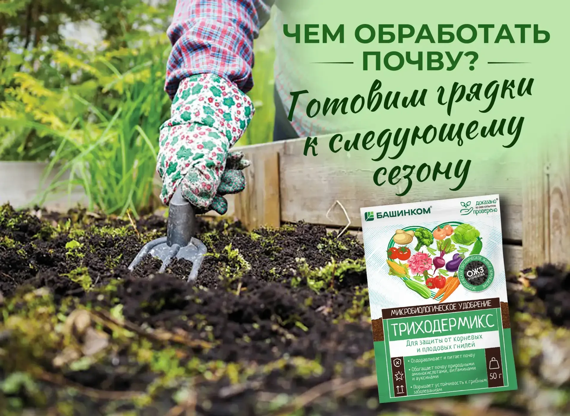 Чем обработать почву. Готовим грядки к следующему сезону