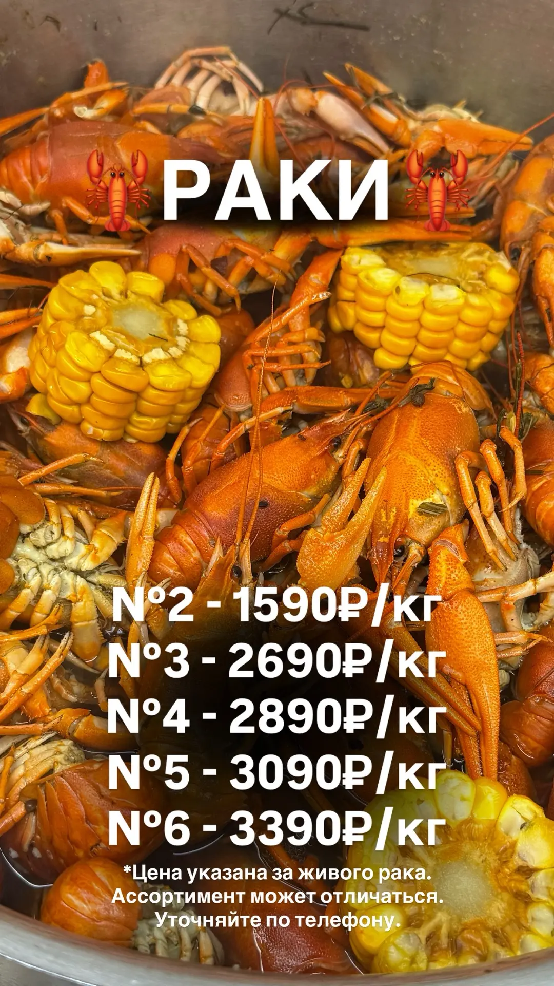 🦞ЖИВЫЕ РАКИ🦞