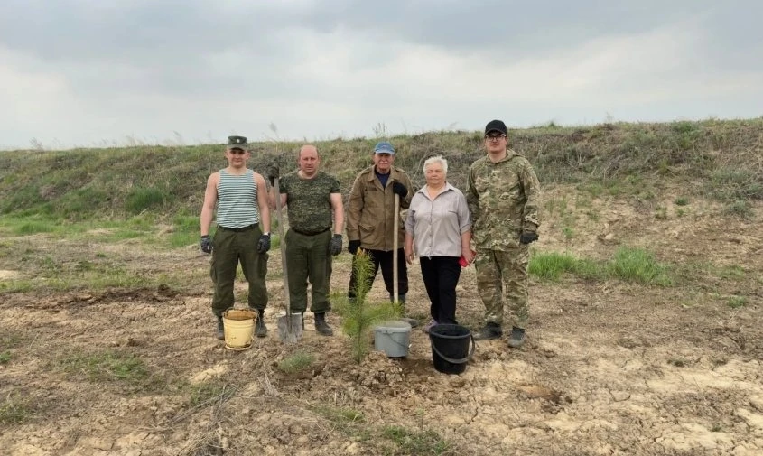 🌳 Амурчан просят помочь придумать название для нового парка, посаженного в селе под Благовещенском  