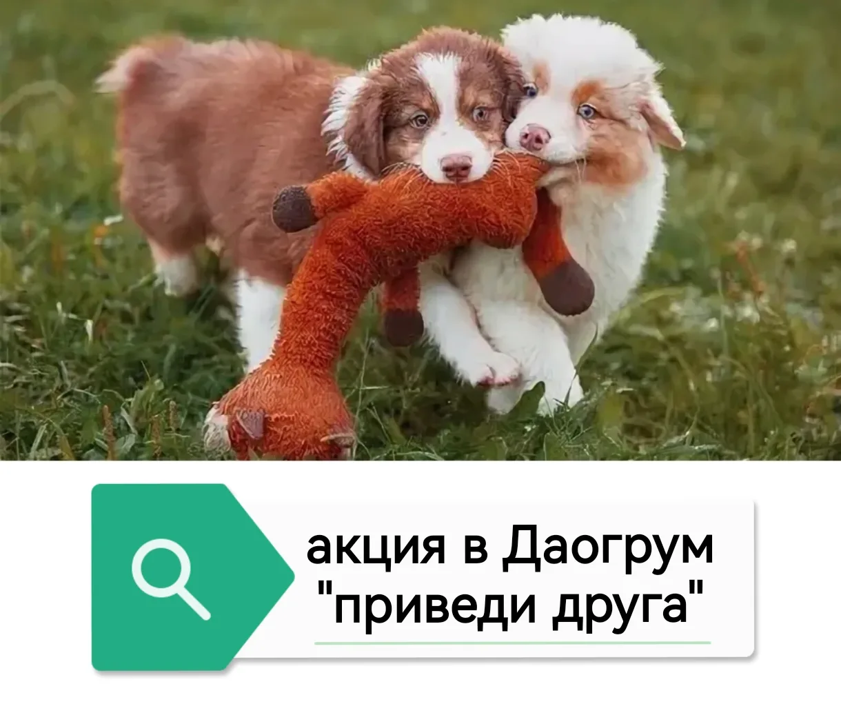Красота и забота, которыми хочется делиться 🌿