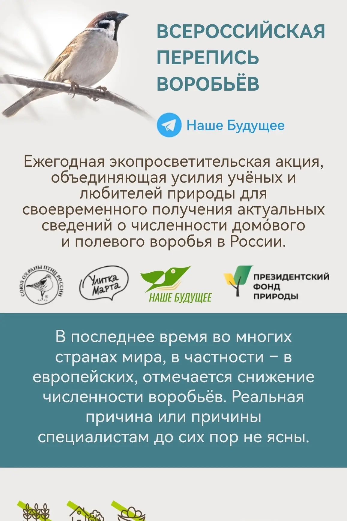Наука, в которой не бывает «слишком маленький вклад»