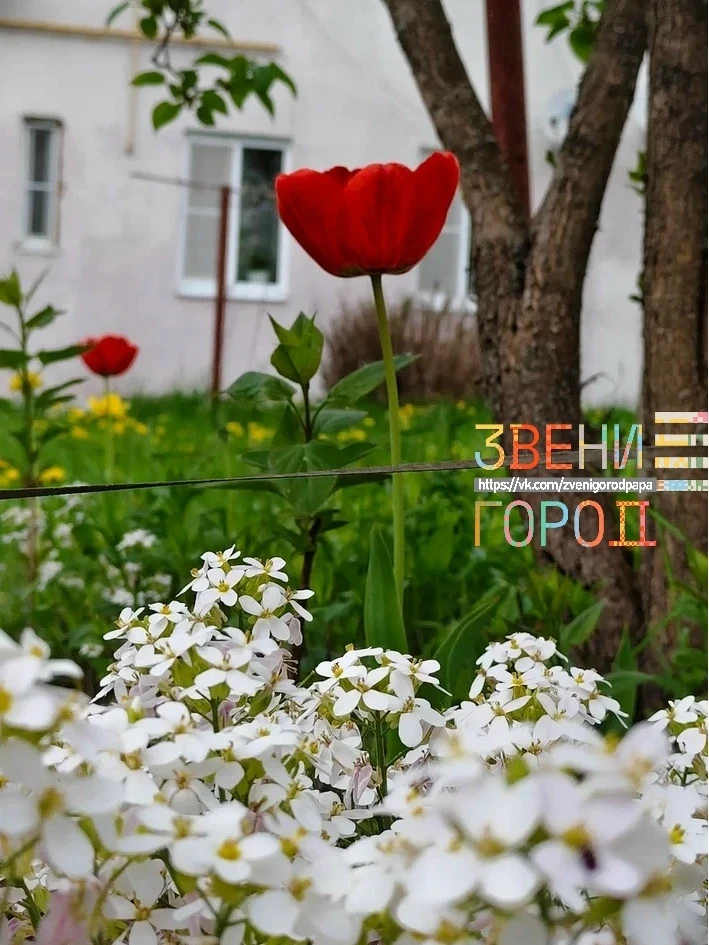 Доброе утро, друзья!    Не упустите шанс отправиться на фотографическую прогулку: в данный момент Зв