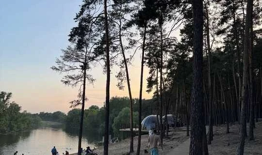 В Курской области с начала года клещи покусали 606 детей
