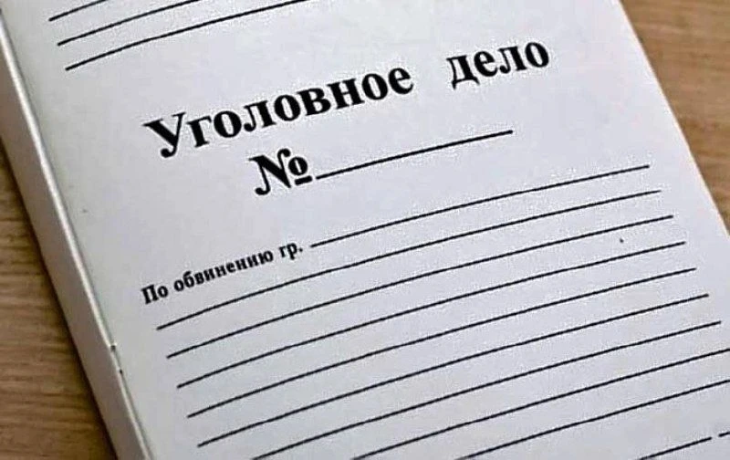 В Ингушетии местная жительница  предстанет перед судом по обвинению в совершении мошенничества в сфе