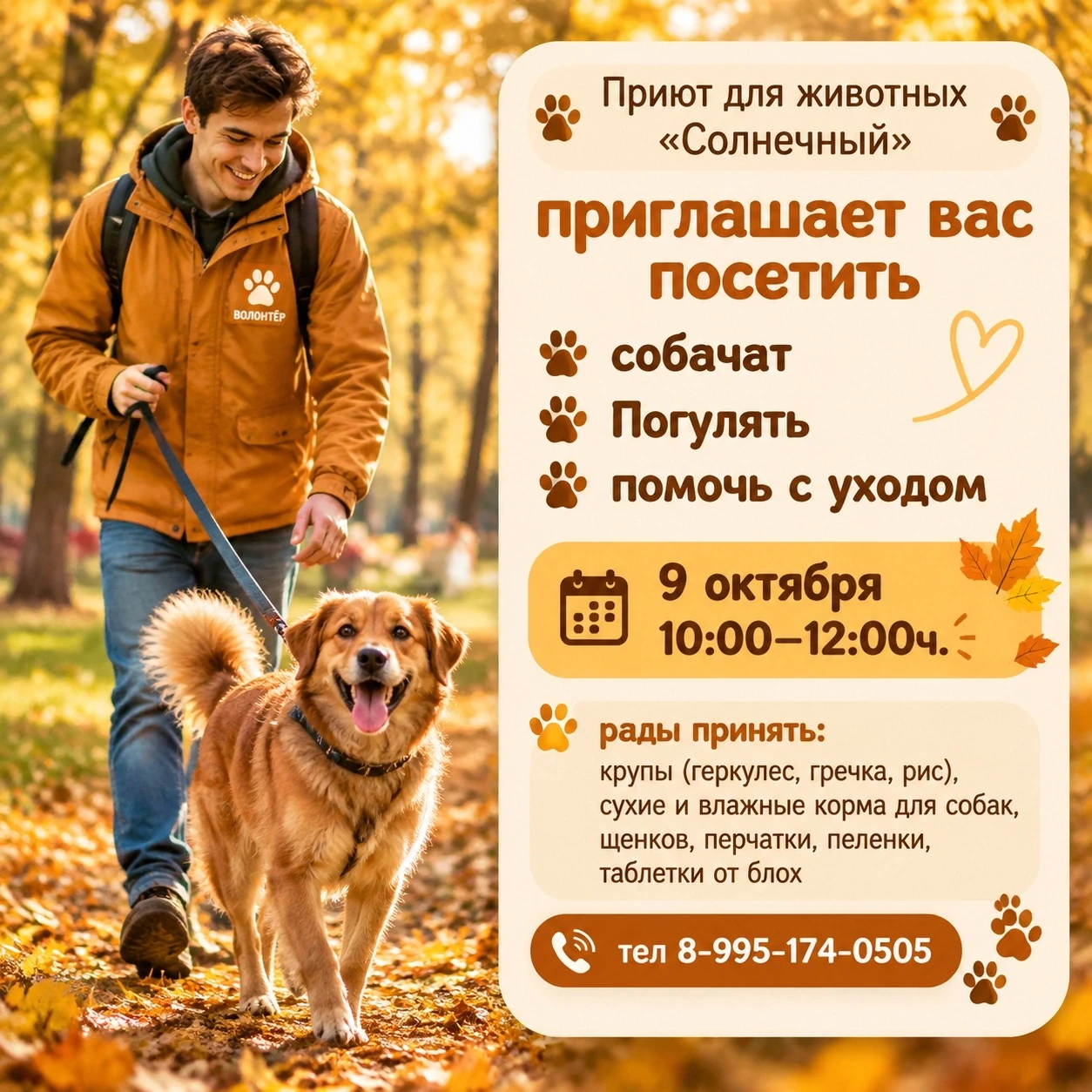 Приют для животных «Солнечный» открывает двери для всех неравнодушных: