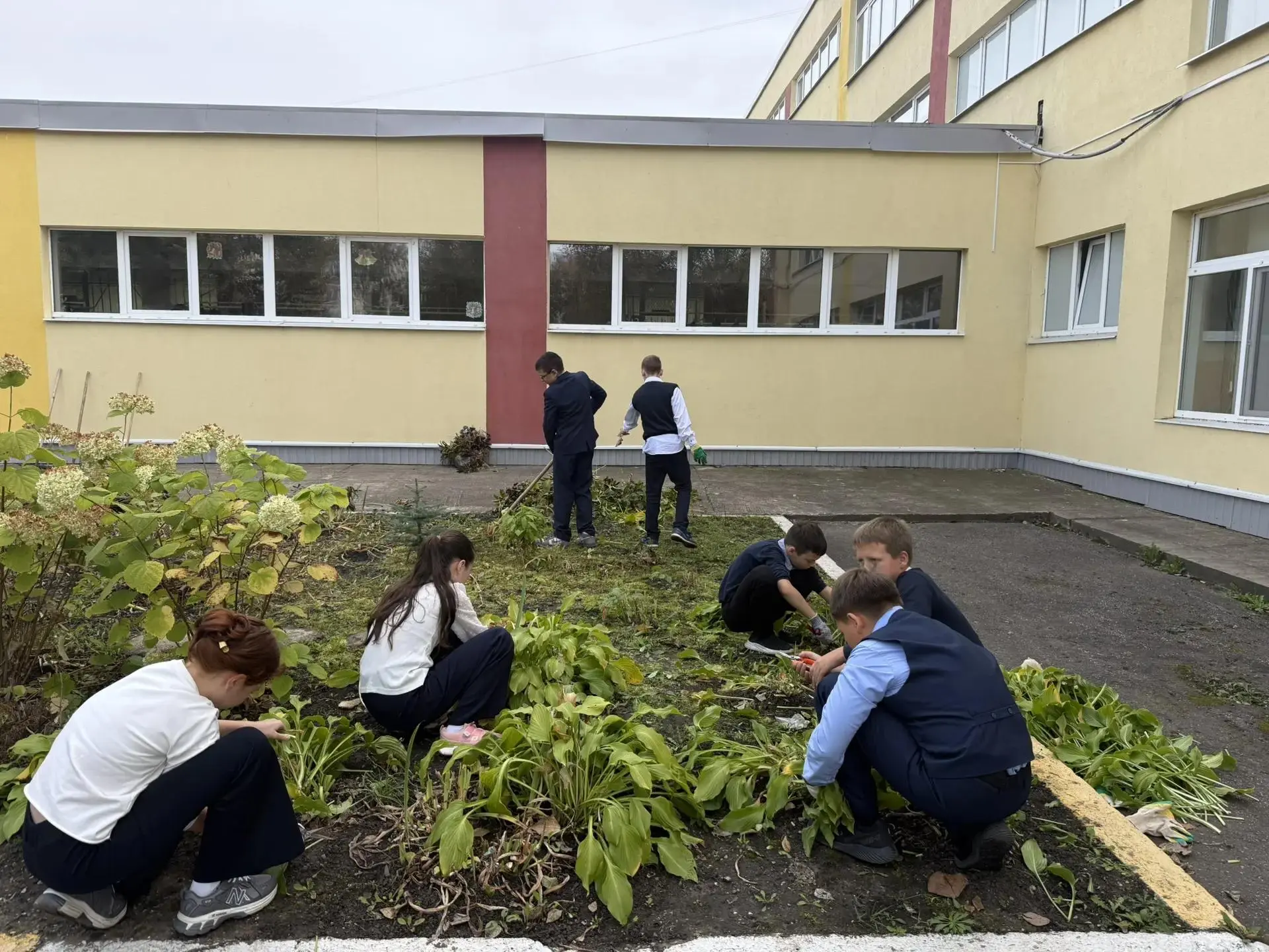 Ученики 6Д класса вышли на субботник 🪏
