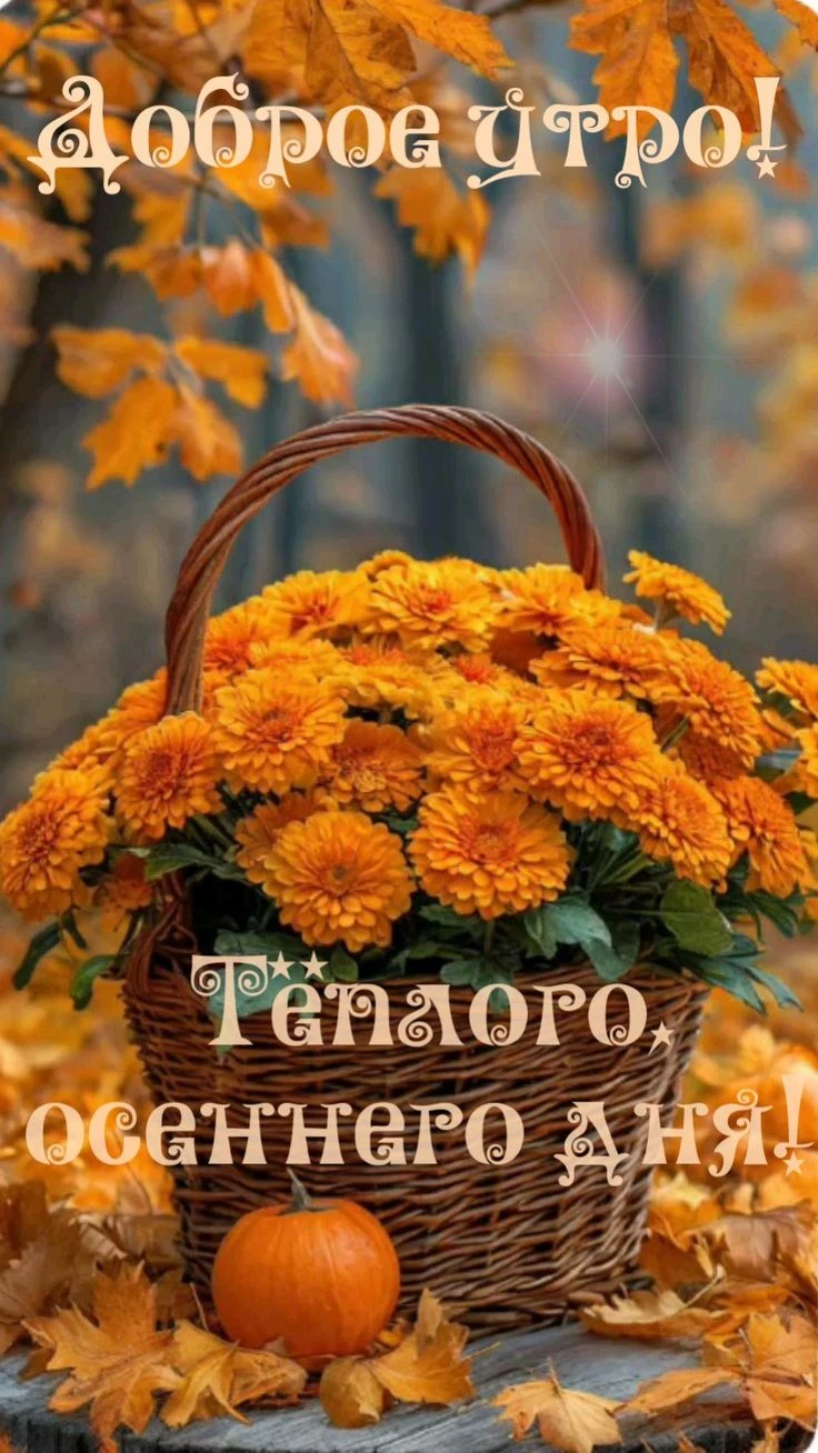 Подпишись 👇