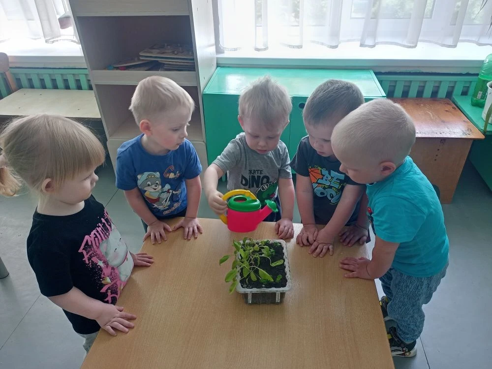 🌱🌞💦   «Огород на окошке» - в каждой группе детского сада был создан свой уникальный ...