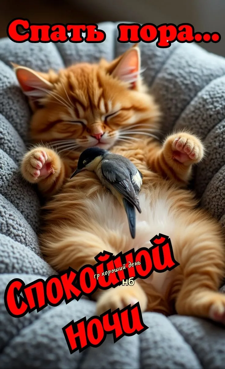 Спокойной ночи Сладких снов

❤️😍🔥👍 — ставьте реакции, пересылайте друзьям и близким 
            