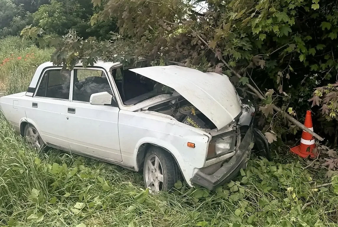 🌳❌🚗Начинающий водитель в Предгорном округе допустил съезд автомашины в кювет в результате чего пос