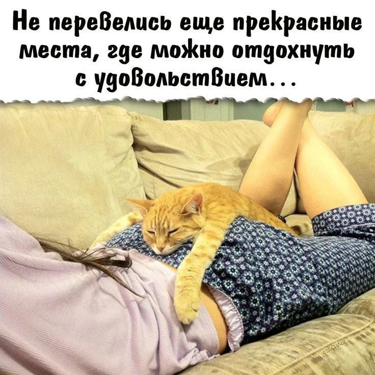 КУКУРУЗА 🌽