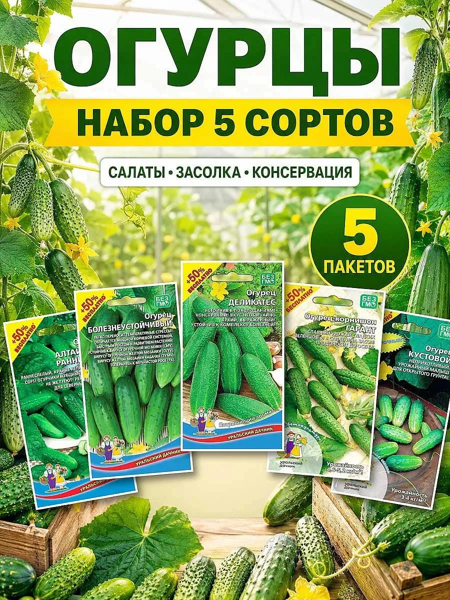 🔥 Набор семена огурцов 5 пакетoв неприхотливыe урожайные