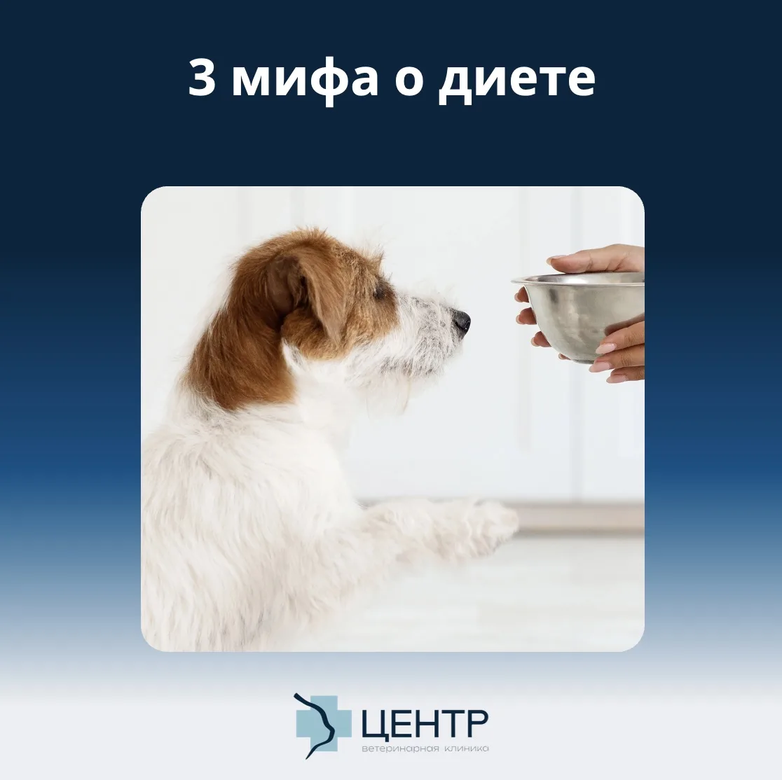 «Курица - главный аллерген»,