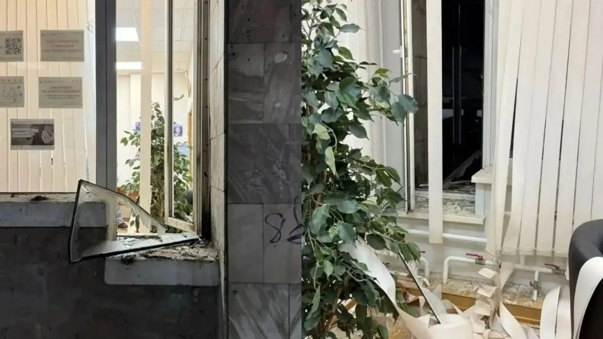 В Новосибирске у девушки украли собаку и пытались продать ей же